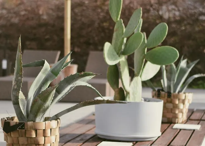 La Casa Di Lusso Casa N8 Adults Only * Колимбия