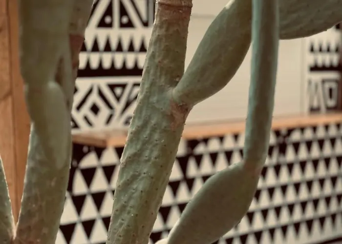 La Casa Di Lusso Casa N8 Adults Only * Kolymbia