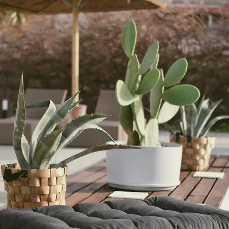 La Casa Di Lusso Casa N8 Adults Only * Kolymbia