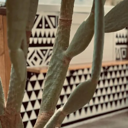 La Casa Di Lusso Casa N8 Adults Only * Kolymbia